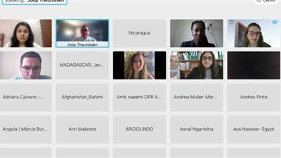 التخطيط تشارك في ورشة عمل بشأن التقرير الوطني الطوعي لمصر لعام 2021