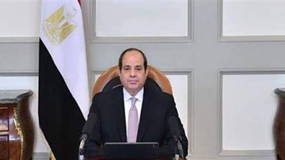 السيسي يوجه بتطوير وميكنة منظومة الصوامع والمخازن الاستراتيجية للمواد التموينية