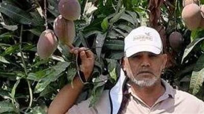 خبير: التزهير المبكر سبب في انخفاض إنتاجية المانجو.. والزيتون أكثر المتضررين بسبب المناخ