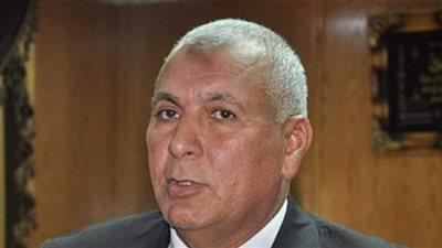 محافظ الوادي الجديد يكشف حقيقة معاقبة الموظفين رافضي تلقي لقاح كورونا