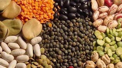 أسعار البقوليات اليوم الثلاثاء 22-6-2021 في الأسواق المصرية