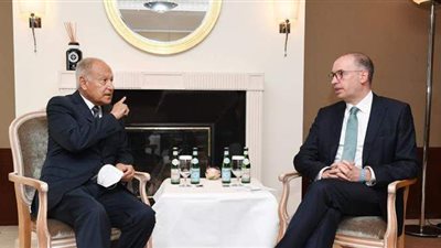 أبوالغيط يؤكد أهمية وقف التدخلات الأجنبية في ليبيا