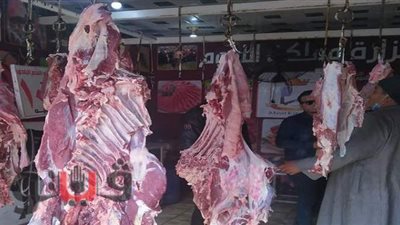 سحب 42 عينة لحوم بالمنيا لبيان مدى صلاحيتها للاستهلاك الآدمي