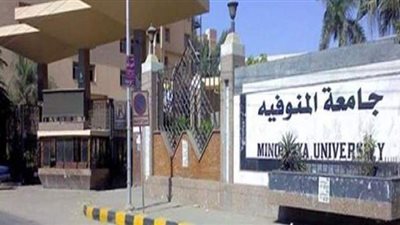 تفاصيل طعن طالب بهندسة المنوفية على يد زميله داخل الحرم الجامعي