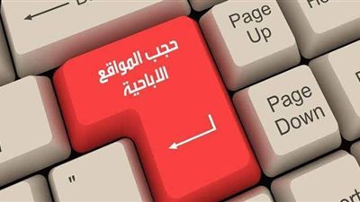 هل تتمكن وزارة الاتصالات من غلق المواقع الإباحية؟