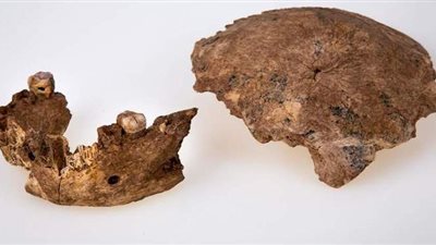 عاش قبل 130 ألف عام.. تعرف على إنسان ما قبل التاريخ الذي ظهر بإسرائيل