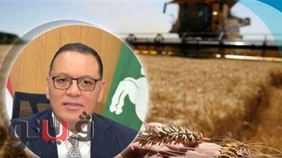الانتهاء من حصاد 409 آلاف فدان قمح بالشرقية
