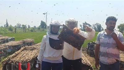 أسرار عالم النحل وأنواع العسل.. «فيتو» داخل أقدم منحل في الدقهلية | فيديو