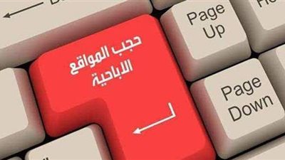 برلماني: المواقع الإباحية ورم خبيث ويجب استئصاله