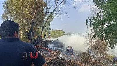 حريق هائل بـ «مكمورة فحم» على بحر شبين في السنطة | صور