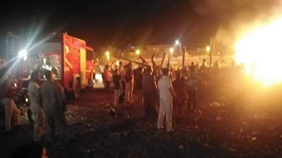 ٤ سيارات إطفاء تسيطر على حريق بالدقهلية| صور