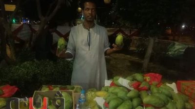 مهرجان مانجو أسوان.. أجود الأنواع والبيع بسعر الجملة | فيديو وصور