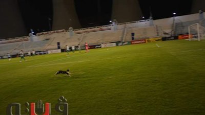 لقطة اليوم.. قطة تقتحم مباراة المحلة والاتحاد السكندري | صور