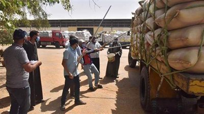 توريد 152 ألف طن قمح لـ28 صومعة وهنجر بأسيوط