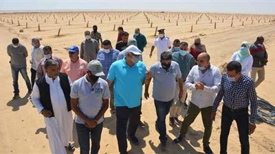 محافظ الوادي الجديد يتفقد مشروع وقف خيري لزراعة النخيل بالفرافرة