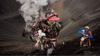 آلاف الإندونيسيين يتسلقون بركانا ليلقوا المواشي في فوهته المتقدة