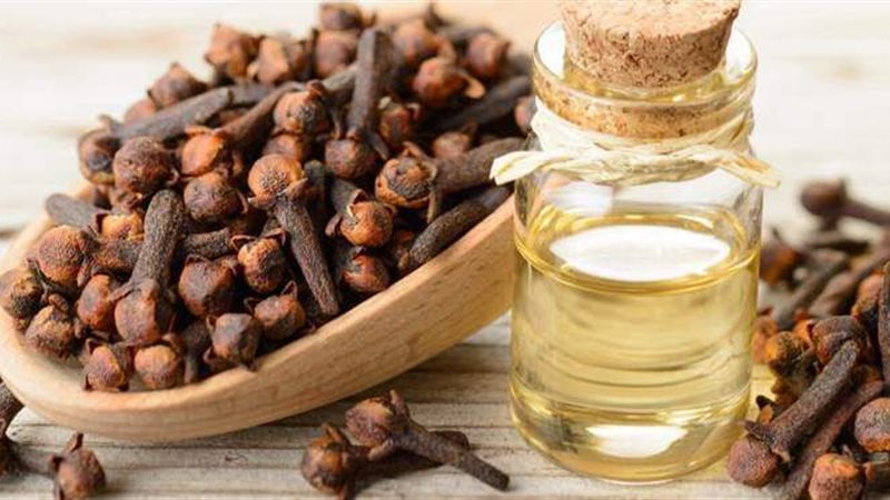 زيت القرنفل
