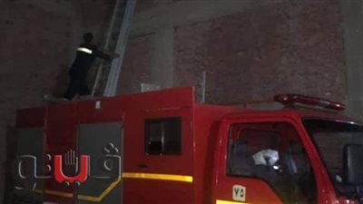 الحماية المدنية تنقذ قطة عالقة أعلى صيدلية بالغربية | صور