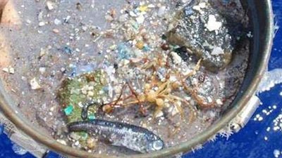 علماء من ناسا يبتكرون طريقة جديدة لتتبع البلاستيك في المحيطات