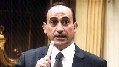 بعد زيارة أول رئيس مصري للعراق منذ 30 عاما.. برلمانى: مصر تواصل تحقيق النجاحات