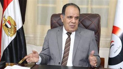 برلماني يطالب بحظر إقامة شوادر بيع الأغنام الحية بالشوارع الرئيسية