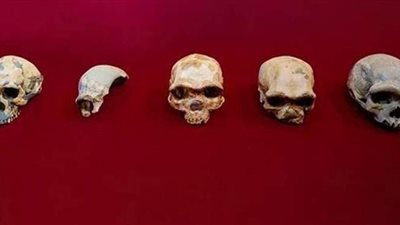 اكتشاف جنس جديد من البشر أطلق عليه 