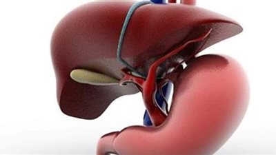 4 مشروبات طبيعية ترفع كفاءة الكبد وتحافظ عليه