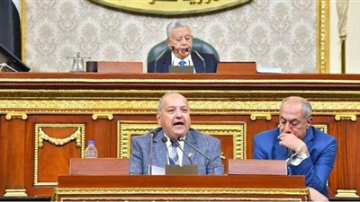 بقيمة 400 مليون دولار.. البرلمان يوافق على قرض لدعم التأمين الصحي