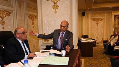 مهلة 60 يوما لدراسة إنشاء كوبريين بطريق دهشور للحد من الحوادث