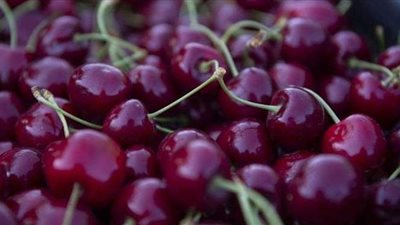 منها ميزة لا تتخيلها النساء.. 7 فوائد صحية غير متوقعة للكرز