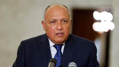 ماذا لو رفضت إثيوبيا قرارات مجلس الأمن بشأن سد النهضة.. وزير الخارجية يجيب | فيديو