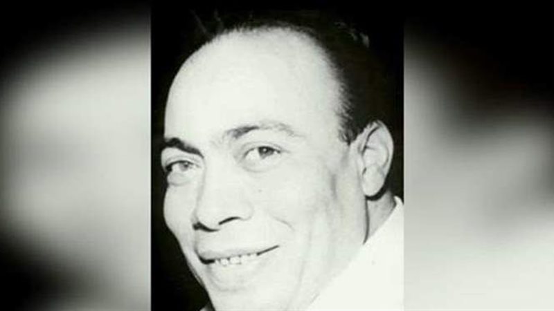 الشاعر مأمون الشناوي