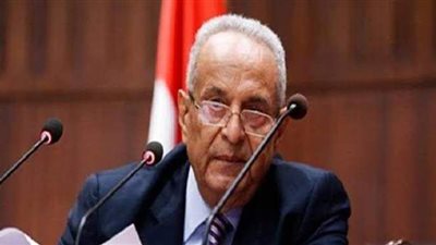 بهاء أبو شقة: تحملت عناء التصدي للمؤامرات الشيطانية في الوفد
