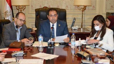 البدل 15 جنيها.. رياضة النواب توصي بزيادة حافز تشجيع النشء