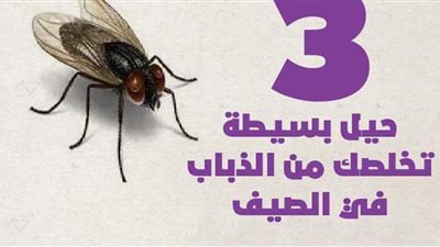 3 حيل بسيطة تخلصك من الذباب في الصيف | إنفوجراف