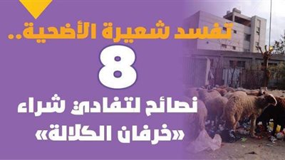 تفسد شعيرة الأضحية.. 8 نصائح لتفادي شراء 