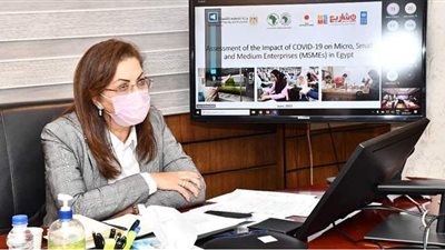 التخطيط تعلن نتائج مسح تأثير جائحة كورونا على المشروعات الصغيرة