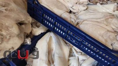 ضبط أسماك مجهولة المصدر داخل ثلاجة بالإسماعيلية | صور