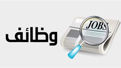 توفير 215 فرصة عمل بالقليوبية.. اعرف التفاصيل