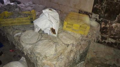 ضبط 13 طن مصنعات لحوم ودواجن وكبدة فاسدة في الجيزة