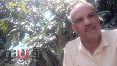 مدير المكافحة الزراعية بالإسماعيلية يكشف سبب تراجع محصول المانجو