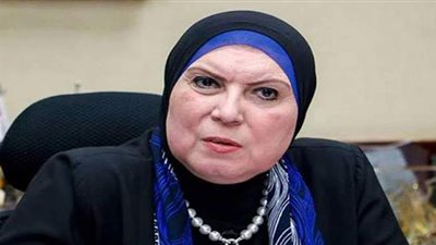 وزيرة التجارة تقرر إيقاف العمل بقرار حظر استيراد الأجزاء المفككة