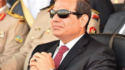 نائب: تحمل الدولة علاج مرضى ضمور العضلات يؤكد الاهتمام بالإنسان كثروة بشرية