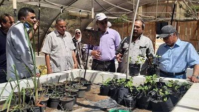 رئيسا البحوث الزراعية والصحراء يتفقدان محطة بحوث مريوط ويبحثان التعاون