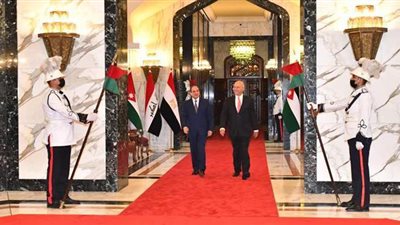 متحدث الرئاسة ينشر فيديو استقبال السيسي في بغداد