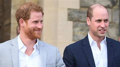 فرقتهما الزوجات وجمعهما قلب الأم.. وليام وهاري يزيحان الستار عن تمثال الأميرة ديانا