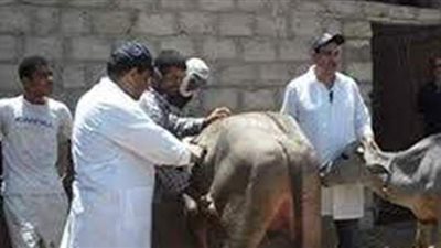 التفتيش على 230 مركز بيع وتداول الأدوية واللقاحات البيطرية في 10 محافظات خلال شهر يونيو