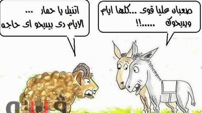 قلق خرفاني وترقب حميري مع قرب عيد الأضحى المبارك | ساخرون