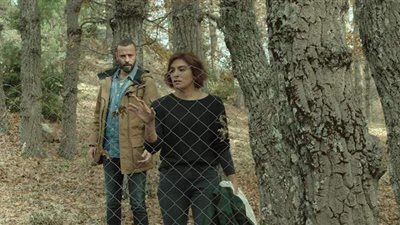 الفيلم اللبناني 