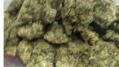 ضبط مخدر الماريجوانا داخل طرد بريدي بمطار القاهرة